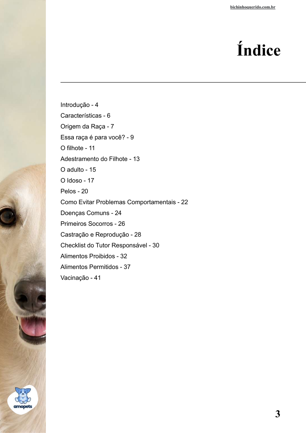 índice do e-book Guia de Como Cuidar do Saluki
