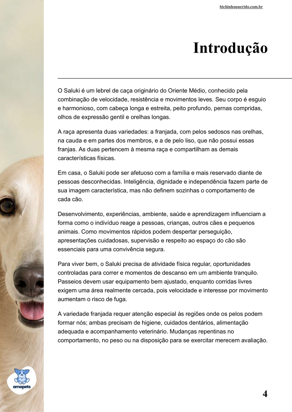 introdução do e-book Guia de Como Cuidar do Saluki