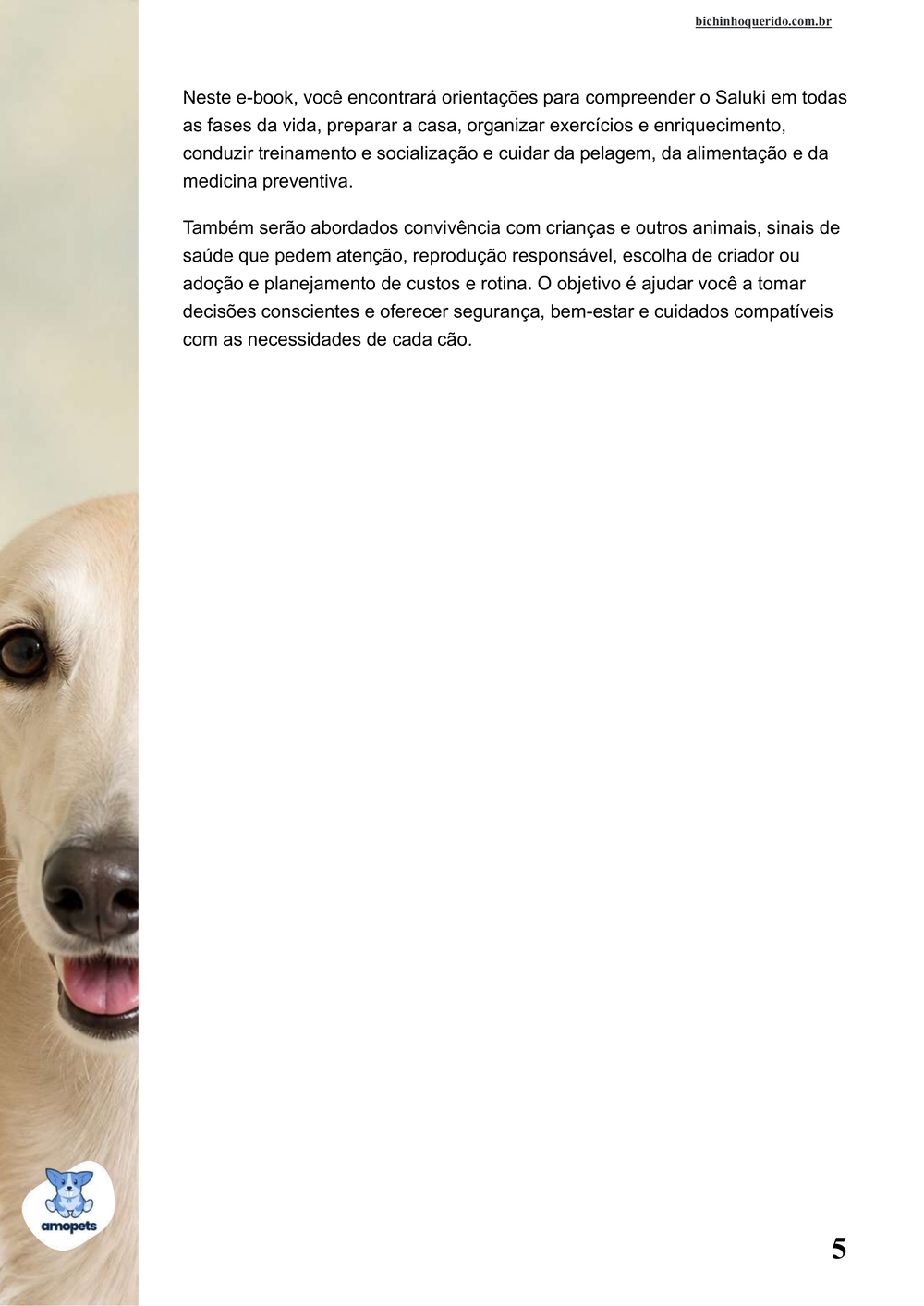 continuação da introdução do e-book Guia de Como Cuidar do Saluki
