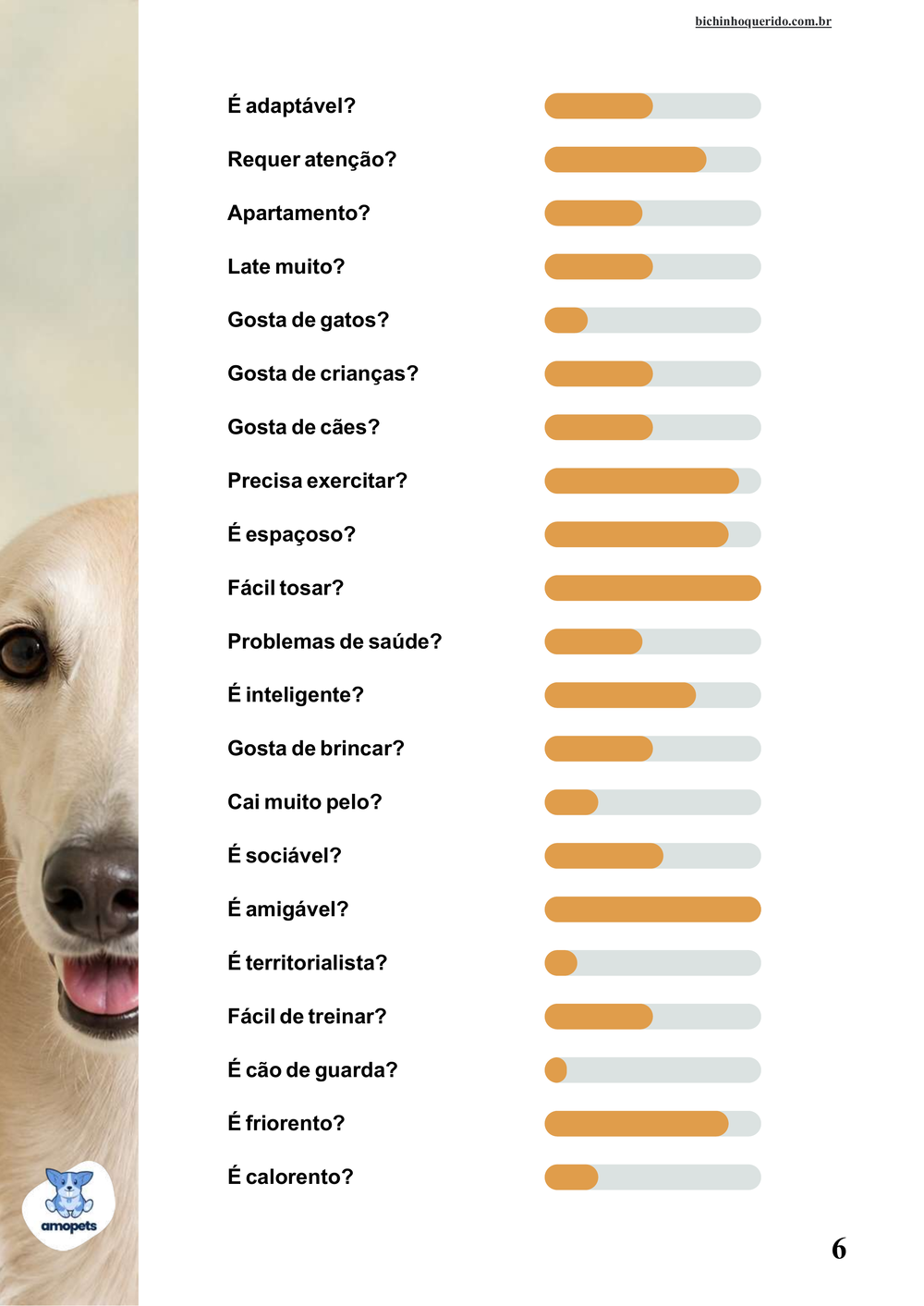 perfil da raça no e-book Guia de Como Cuidar do Saluki