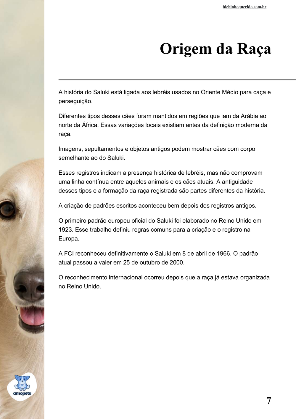 origem da raça no e-book Guia de Como Cuidar do Saluki