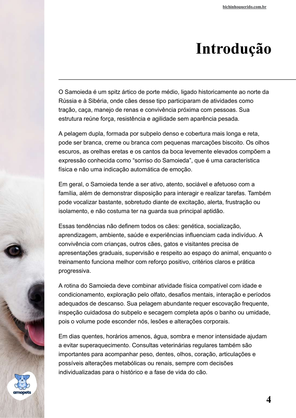 introdução do e-book Guia de Como Cuidar do Samoieda