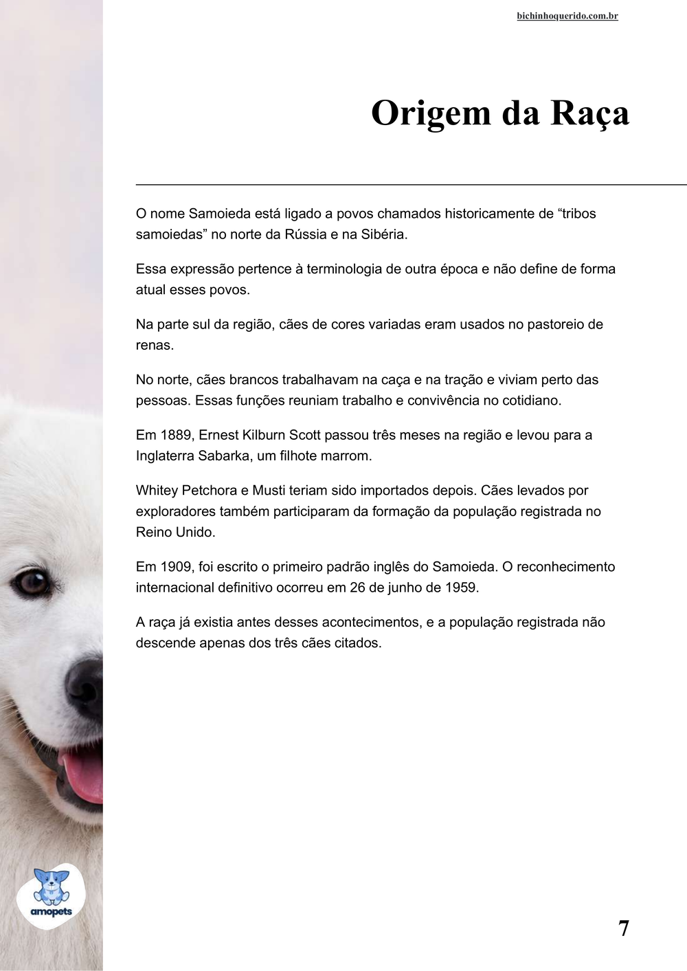 origem da raça no e-book Guia de Como Cuidar do Samoieda