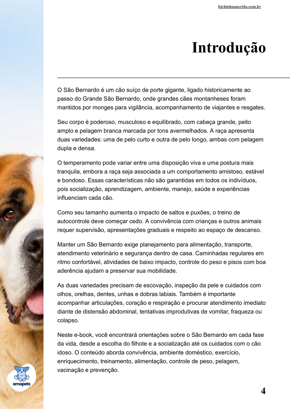 introdução do e-book Guia de Como Cuidar do São Bernardo