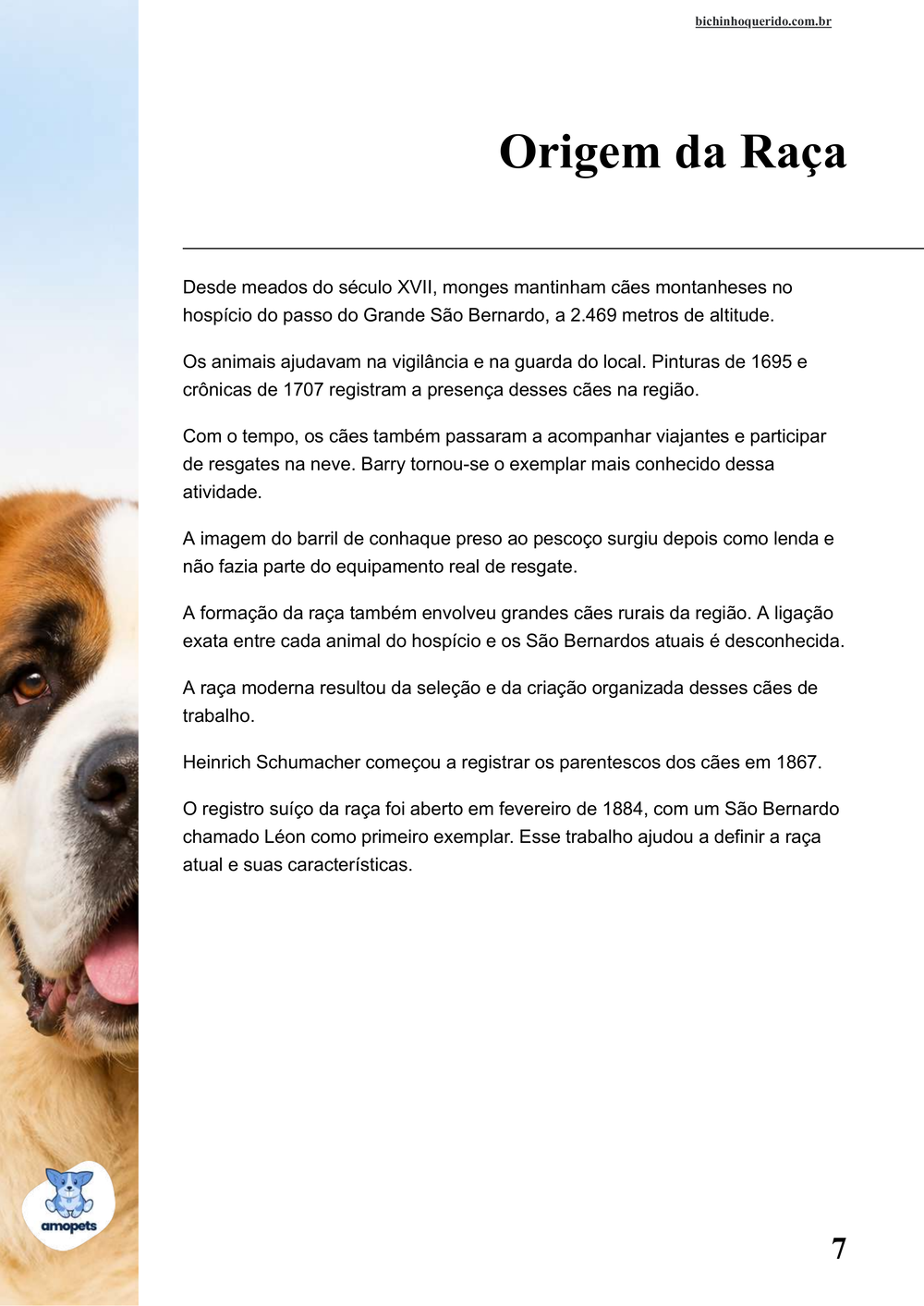 origem da raça no e-book Guia de Como Cuidar do São Bernardo