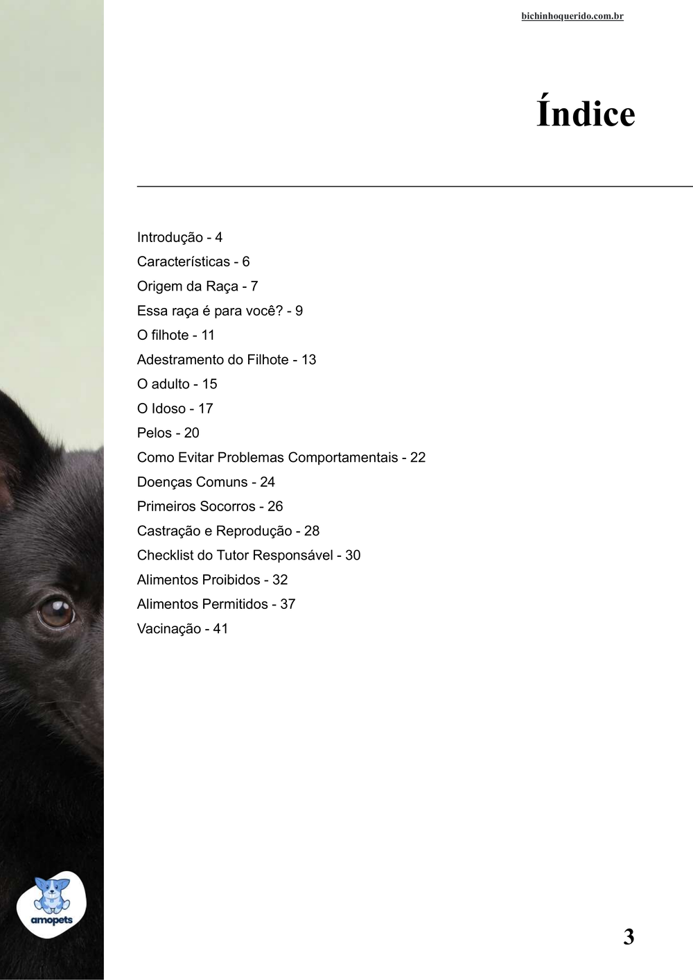 índice do e-book Guia de Como Cuidar do Schipperke