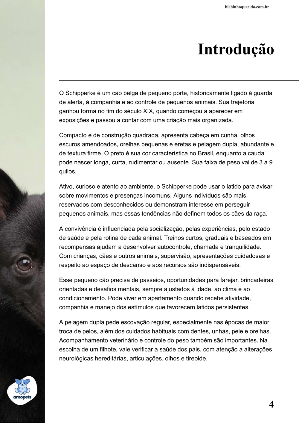 introdução do e-book Guia de Como Cuidar do Schipperke