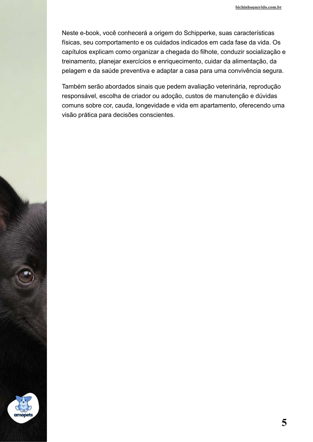 continuação da introdução do e-book Guia de Como Cuidar do Schipperke