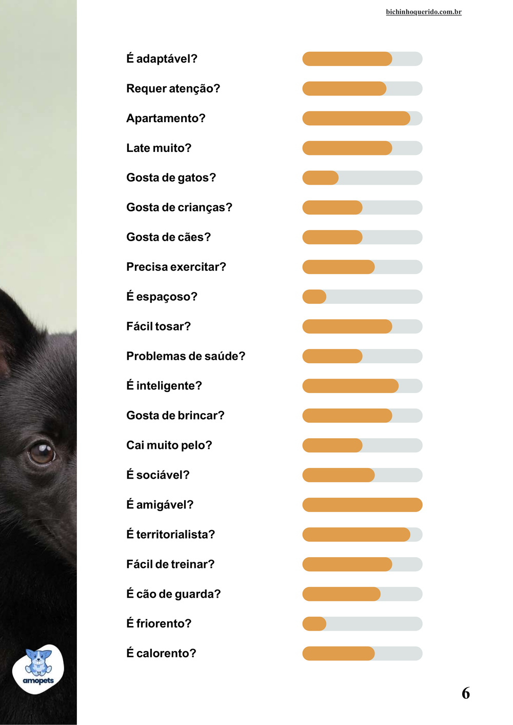 perfil da raça no e-book Guia de Como Cuidar do Schipperke