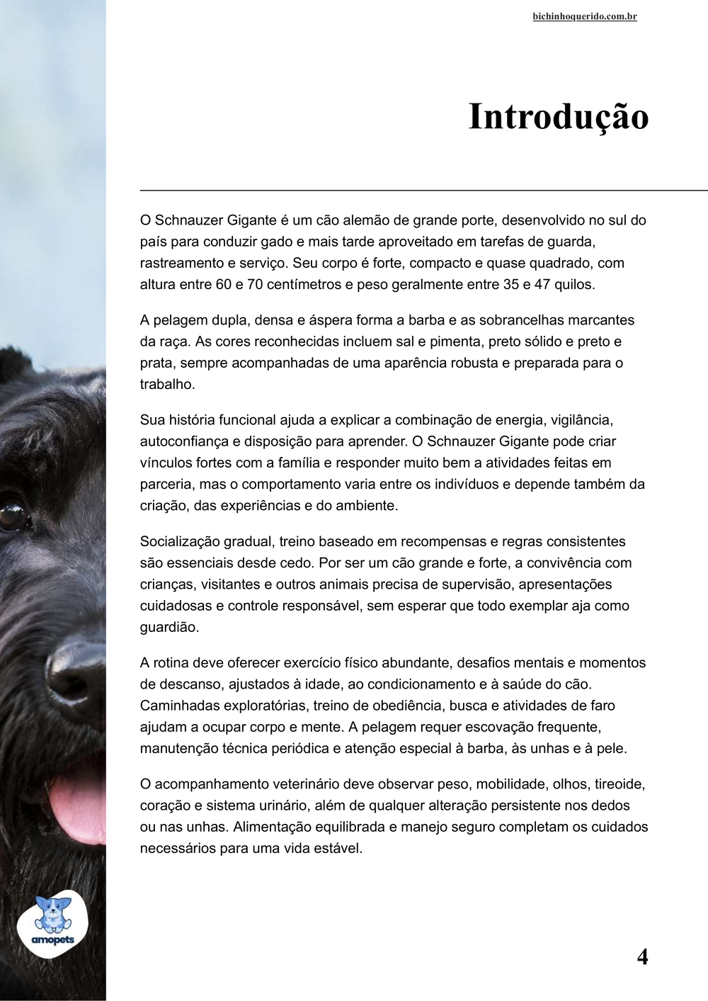 introdução do e-book Guia de Como Cuidar do Schnauzer Gigante