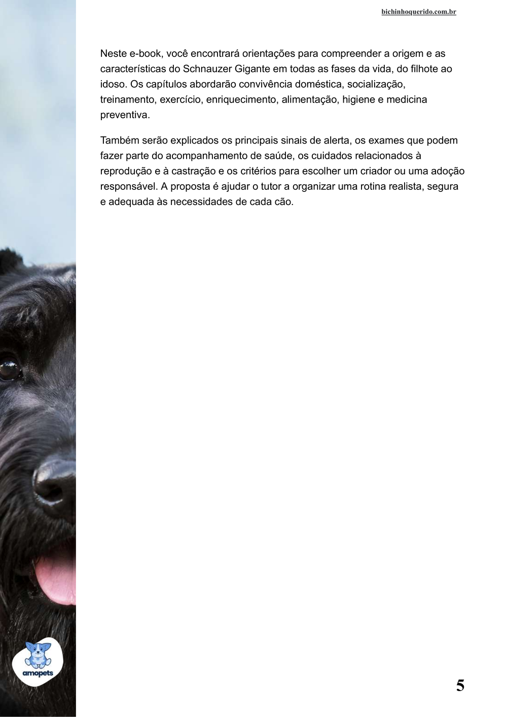 continuação da introdução do e-book Guia de Como Cuidar do Schnauzer Gigante