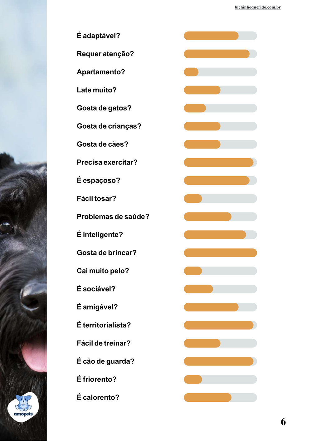 perfil da raça no e-book Guia de Como Cuidar do Schnauzer Gigante