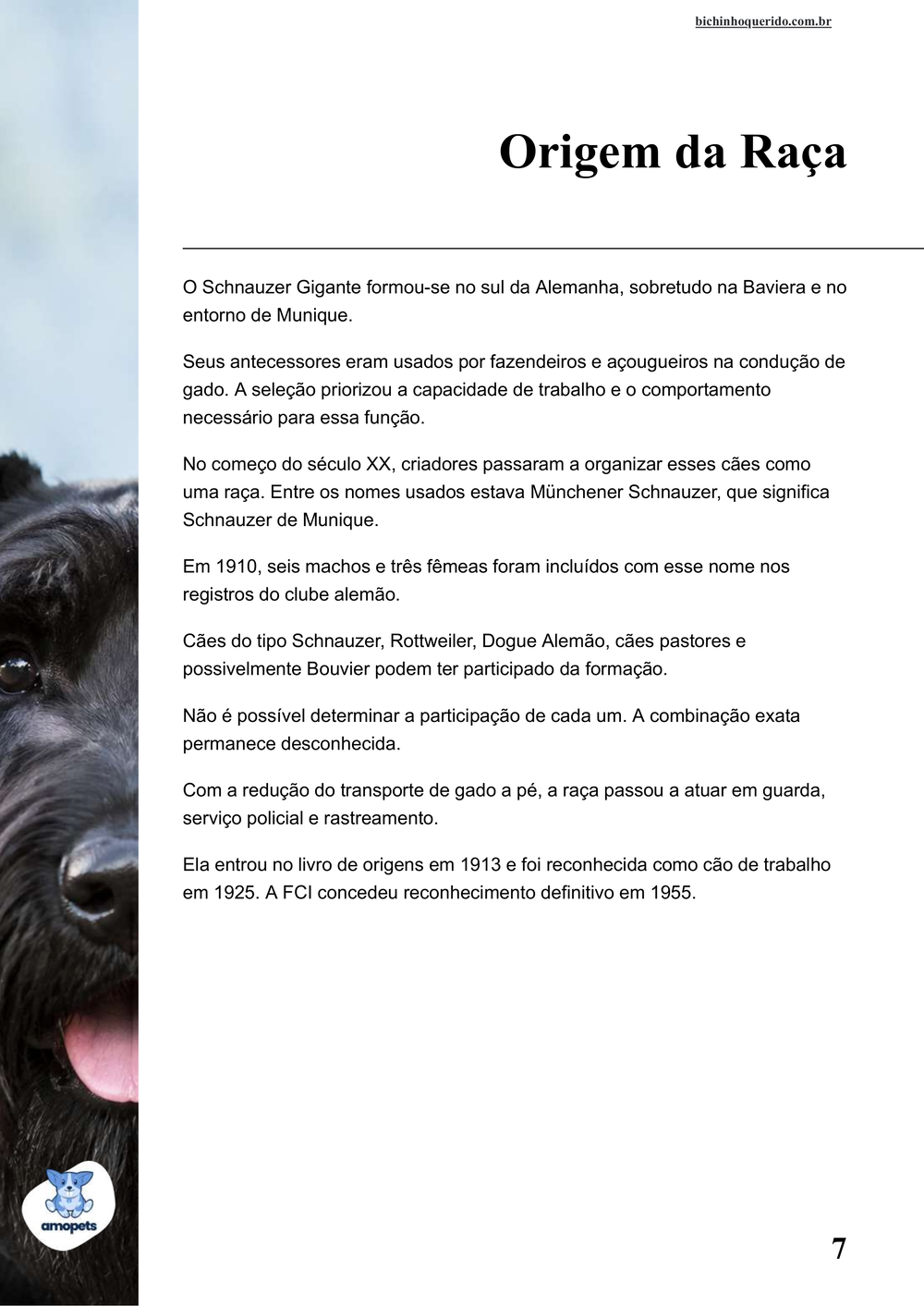 origem da raça no e-book Guia de Como Cuidar do Schnauzer Gigante