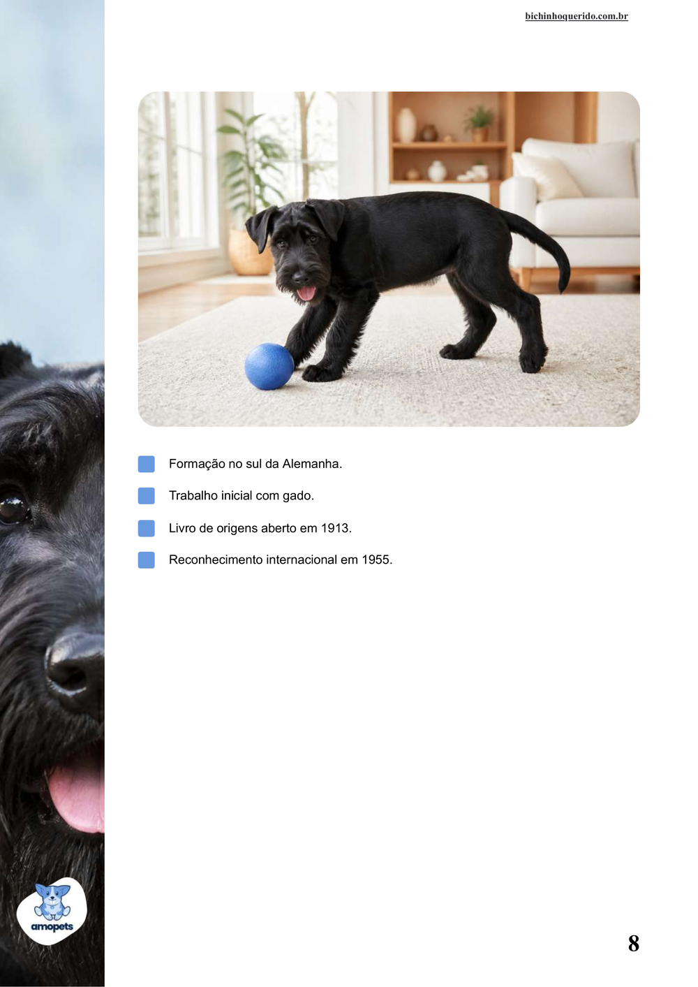 características do Schnauzer Gigante no e-book Guia de Como Cuidar do Schnauzer Gigante