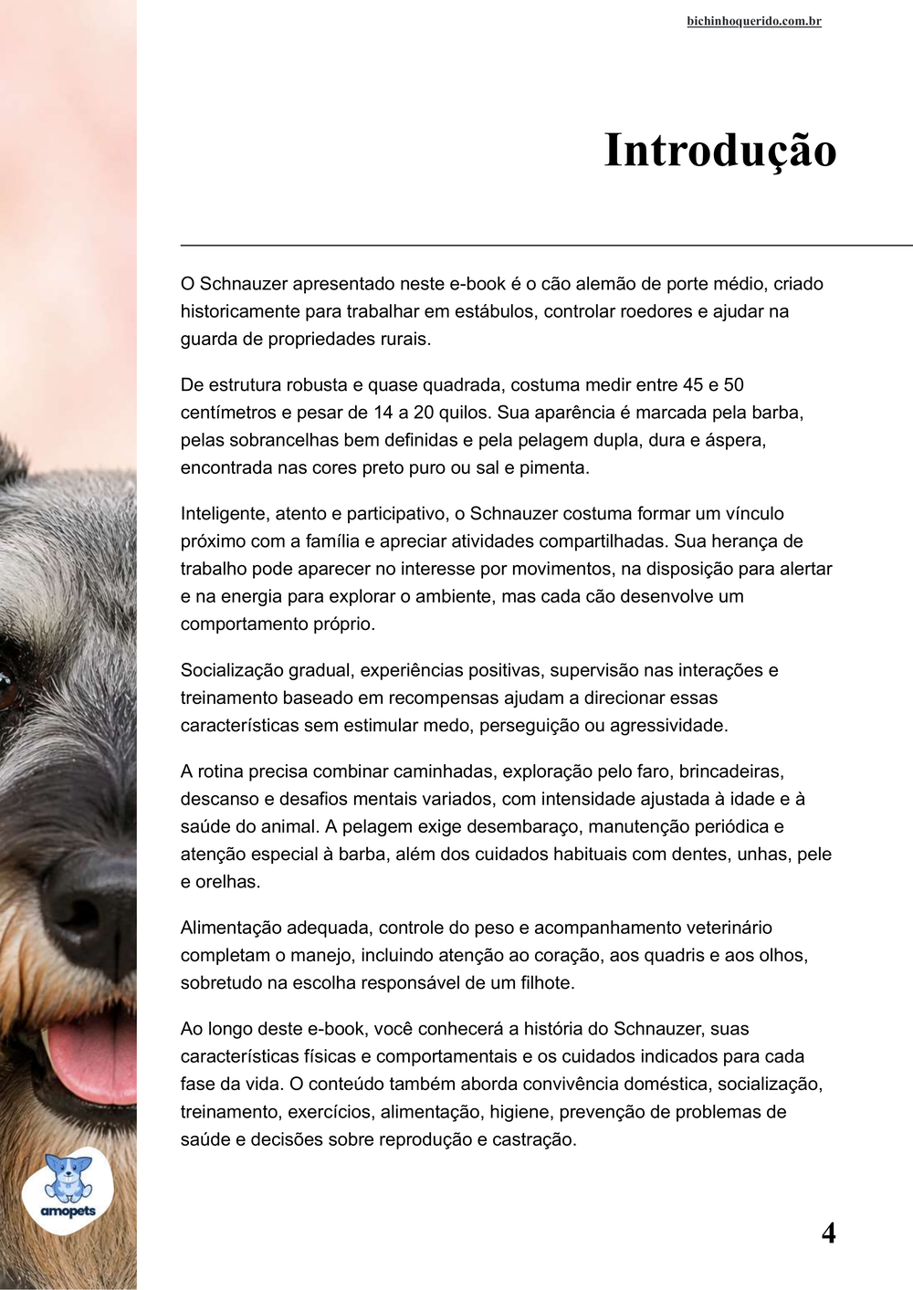 introdução do e-book Guia de Como Cuidar do Schnauzer