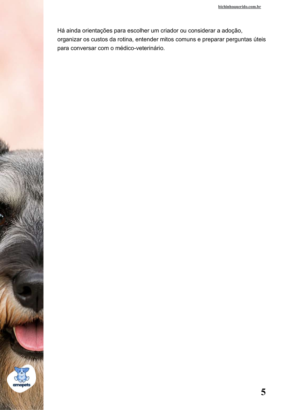 continuação da introdução do e-book Guia de Como Cuidar do Schnauzer