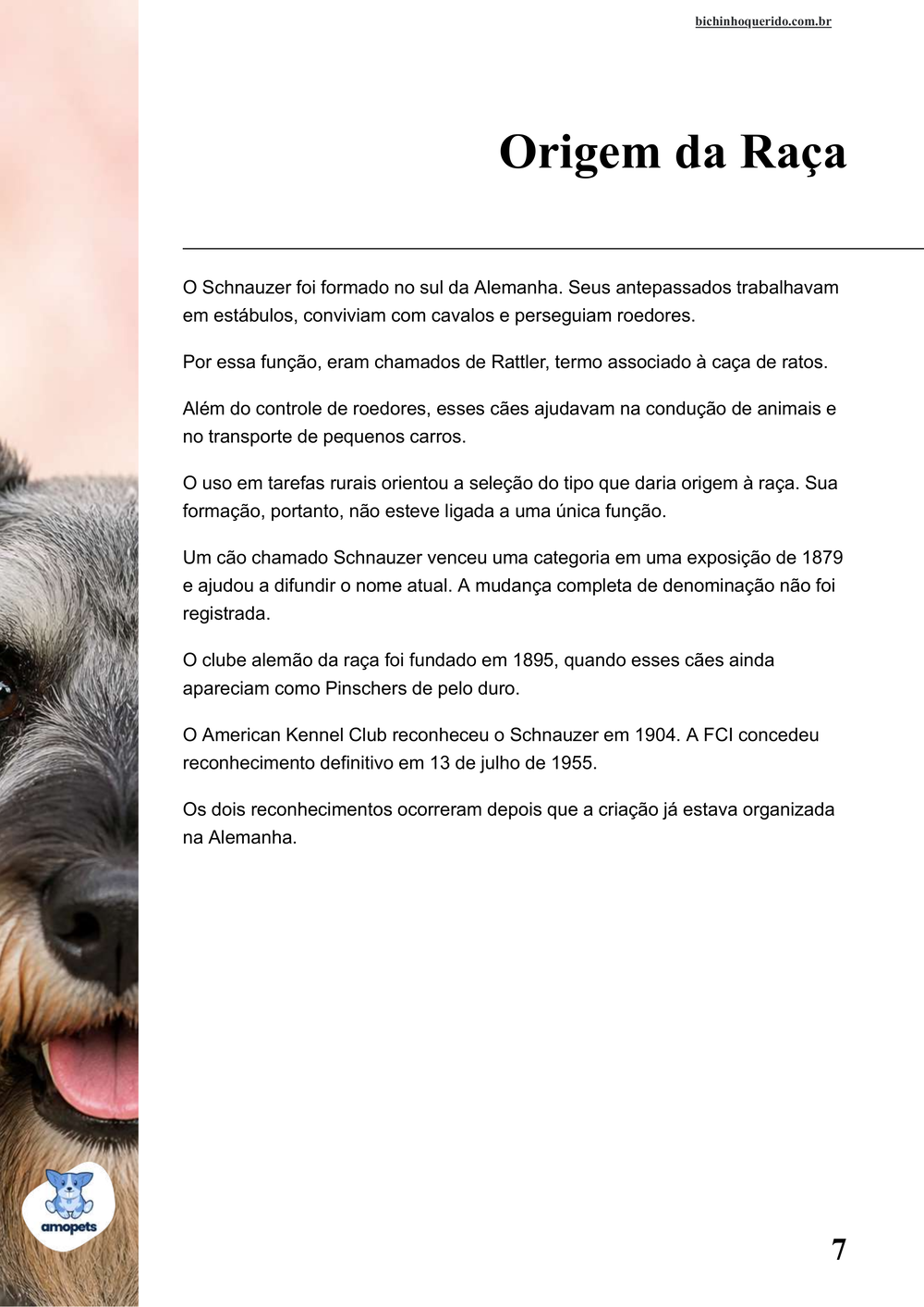 origem da raça no e-book Guia de Como Cuidar do Schnauzer