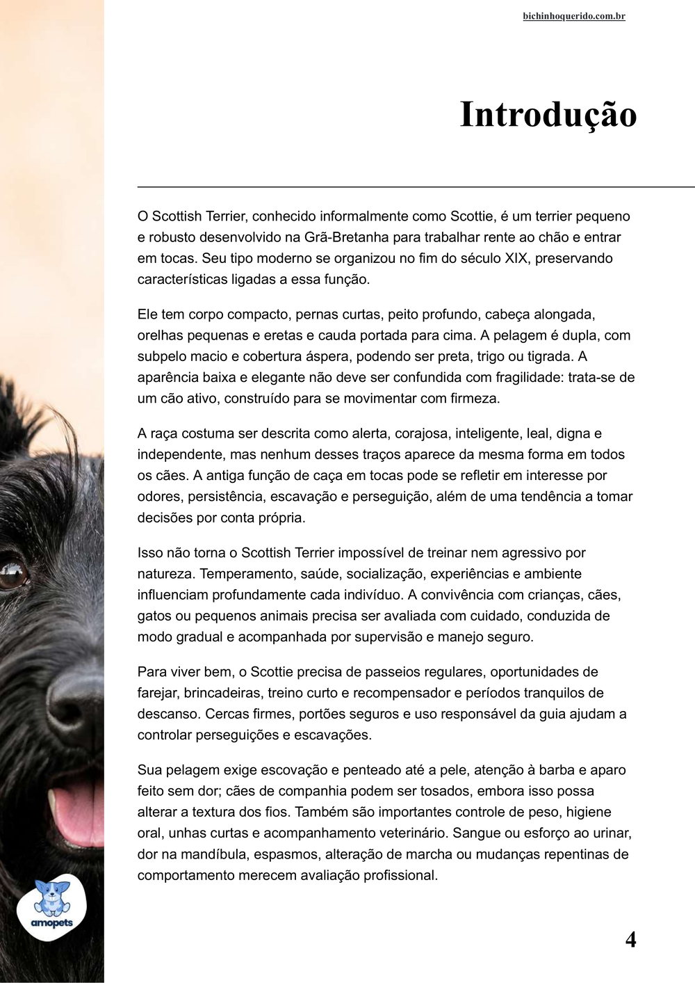 introdução do e-book Guia de Como Cuidar do Scottish Terrier