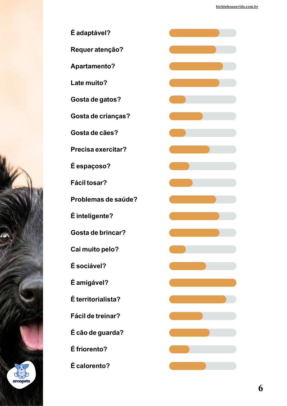 perfil da raça no e-book Guia de Como Cuidar do Scottish Terrier