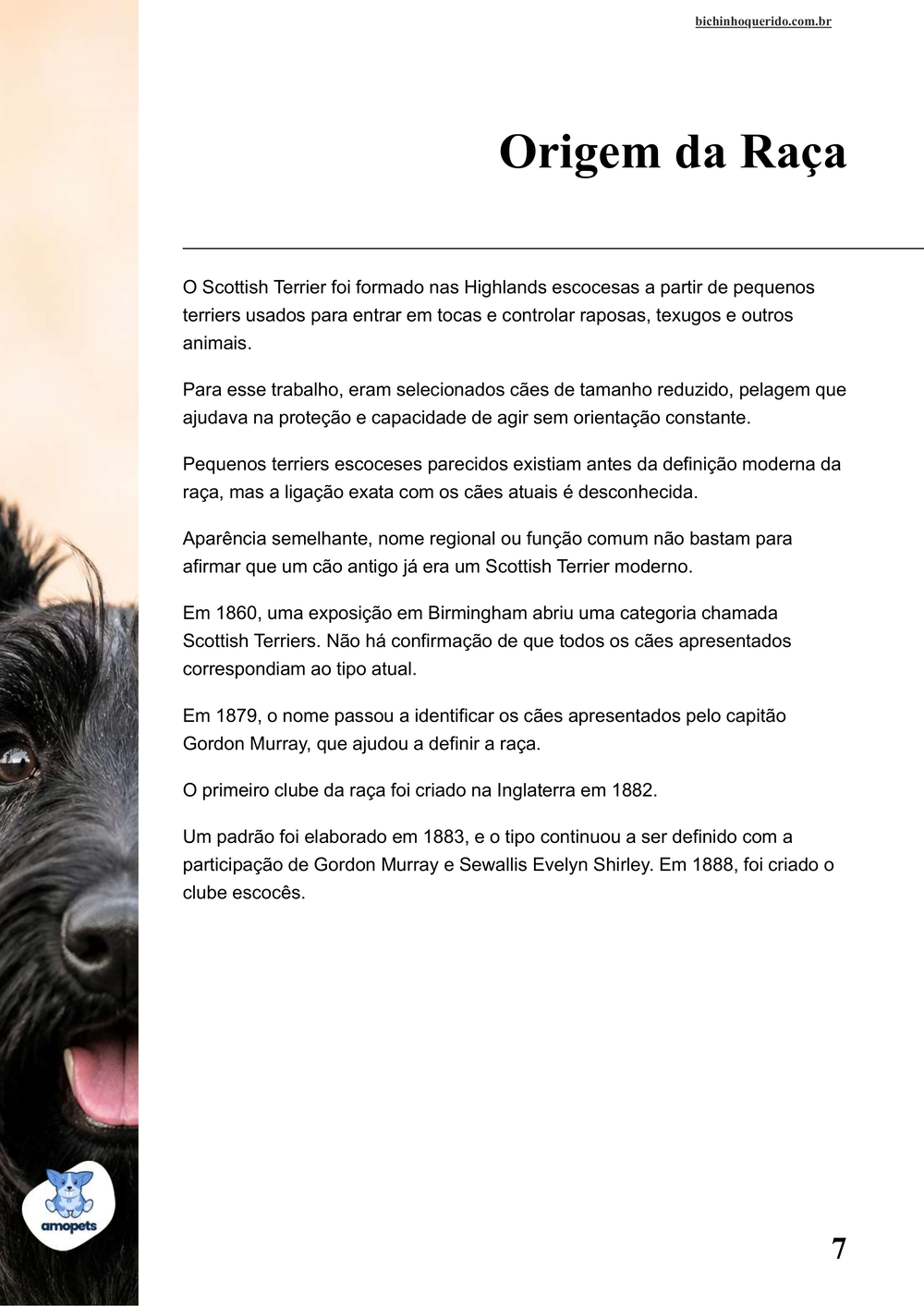 origem da raça no e-book Guia de Como Cuidar do Scottish Terrier