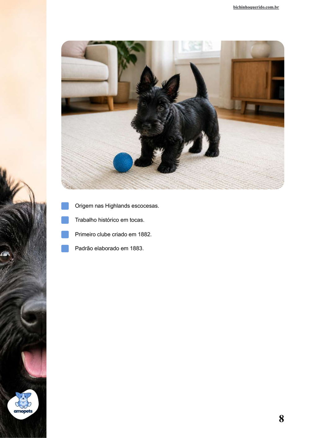 características do Scottish Terrier no e-book Guia de Como Cuidar do Scottish Terrier