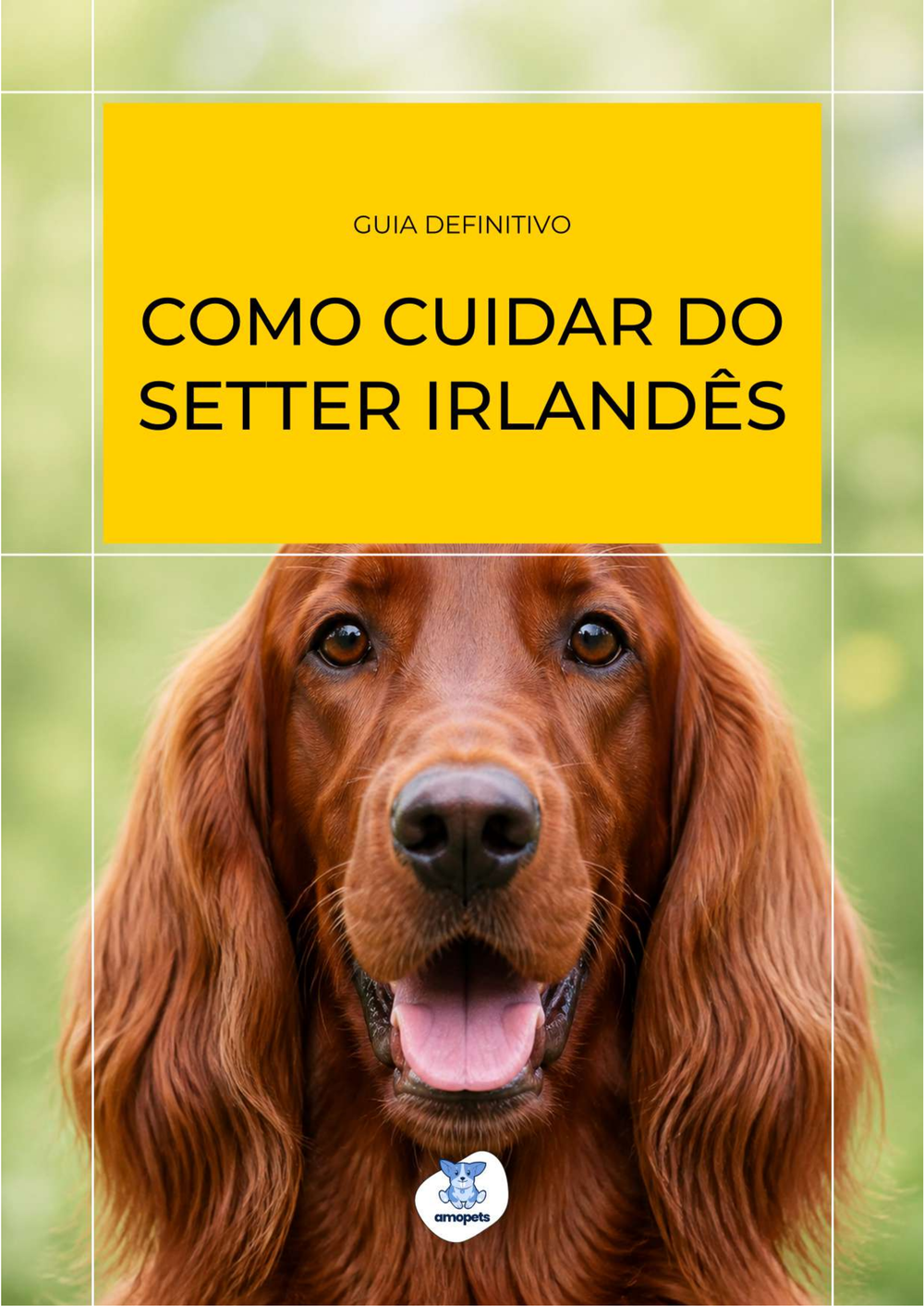 capa do e-book Guia de Como Cuidar do Setter Irlandês
