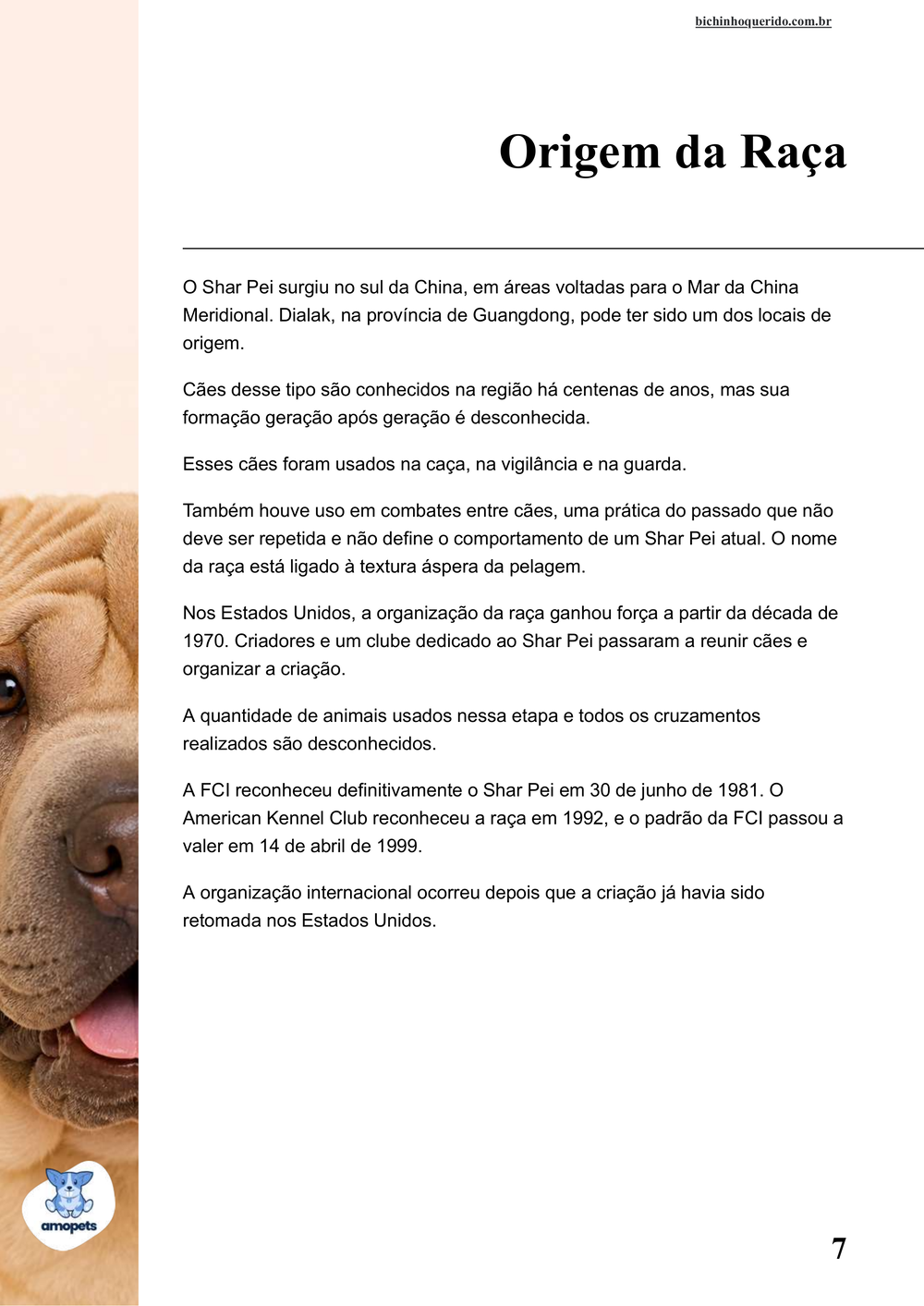 origem da raça no e-book Guia de Como Cuidar do Shar Pei