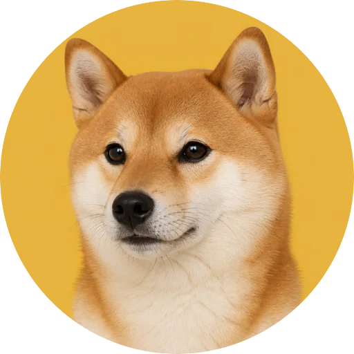 Retrato em ângulo três quartos de cachorro da raça Shiba Inu em fundo mostarda