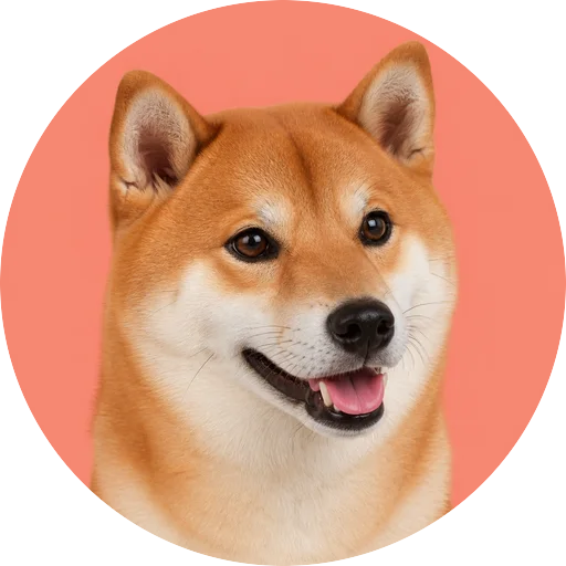 Retrato em ângulo três quartos de cachorro da raça Shiba Inu em fundo coral