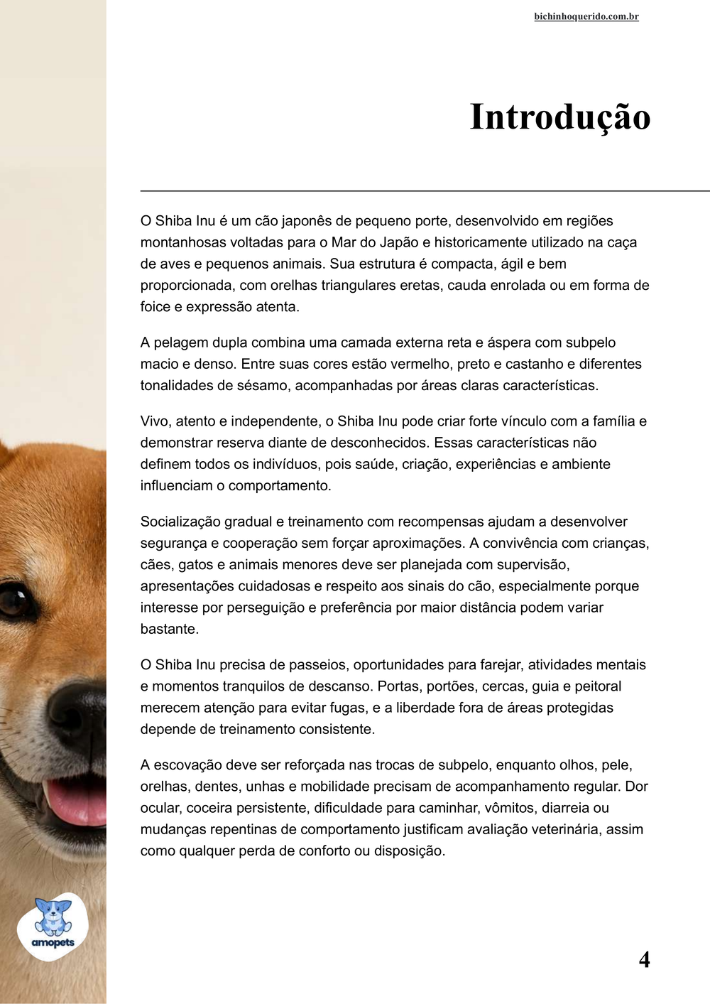 introdução do e-book Guia de Como Cuidar do Shiba Inu