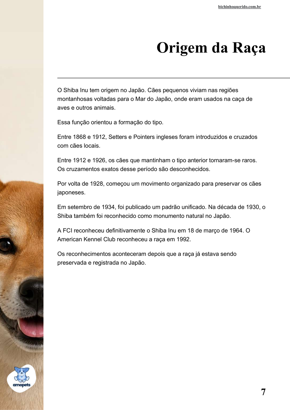 origem da raça no e-book Guia de Como Cuidar do Shiba Inu