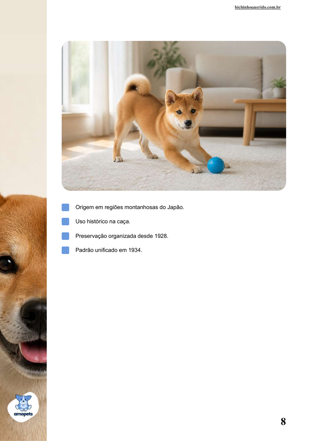 características do Shiba Inu no e-book Guia de Como Cuidar do Shiba Inu