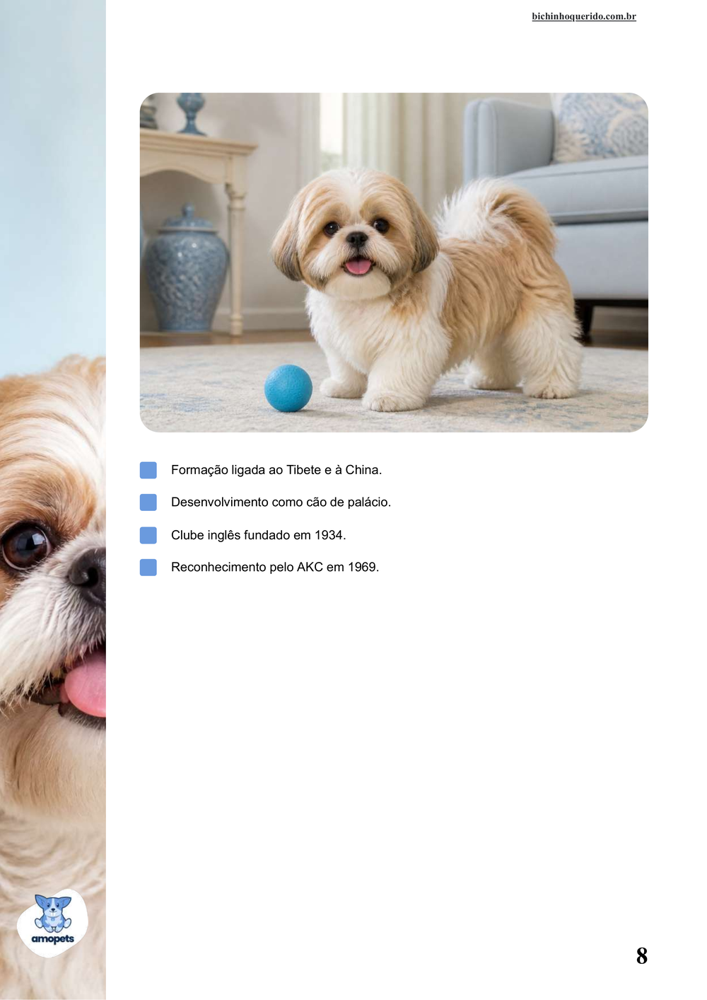 características do Shih Tzu no e-book Guia de Como Cuidar do Shih Tzu