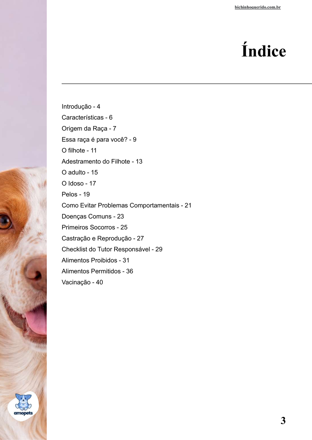 índice do e-book Guia de Como Cuidar do Spaniel Bretão