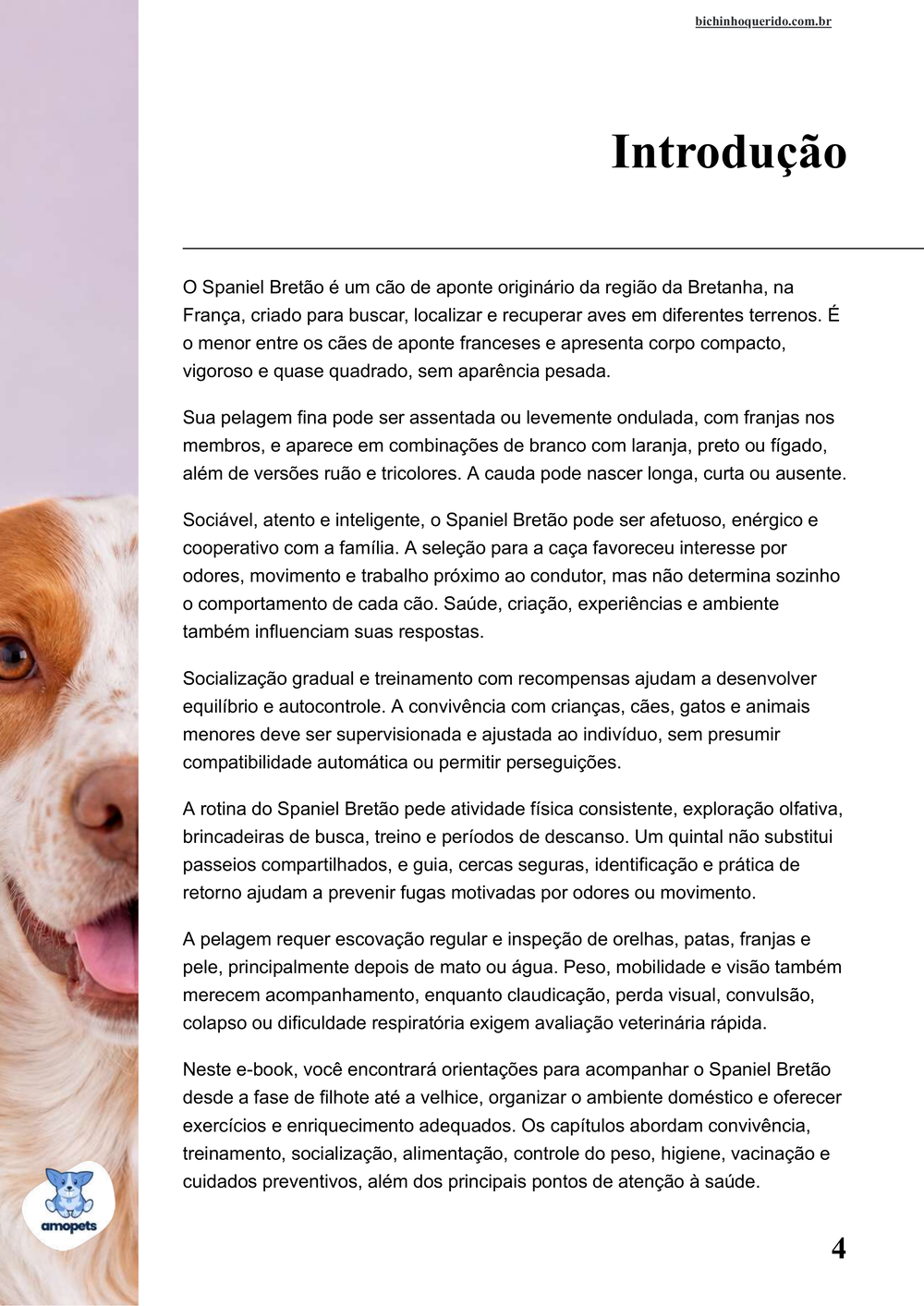 introdução do e-book Guia de Como Cuidar do Spaniel Bretão