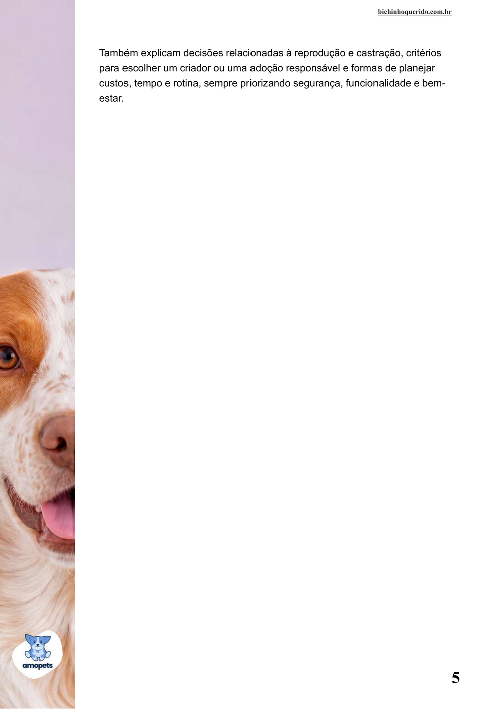 continuação da introdução do e-book Guia de Como Cuidar do Spaniel Bretão