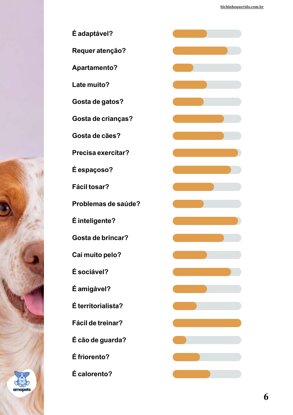 perfil da raça no e-book Guia de Como Cuidar do Spaniel Bretão