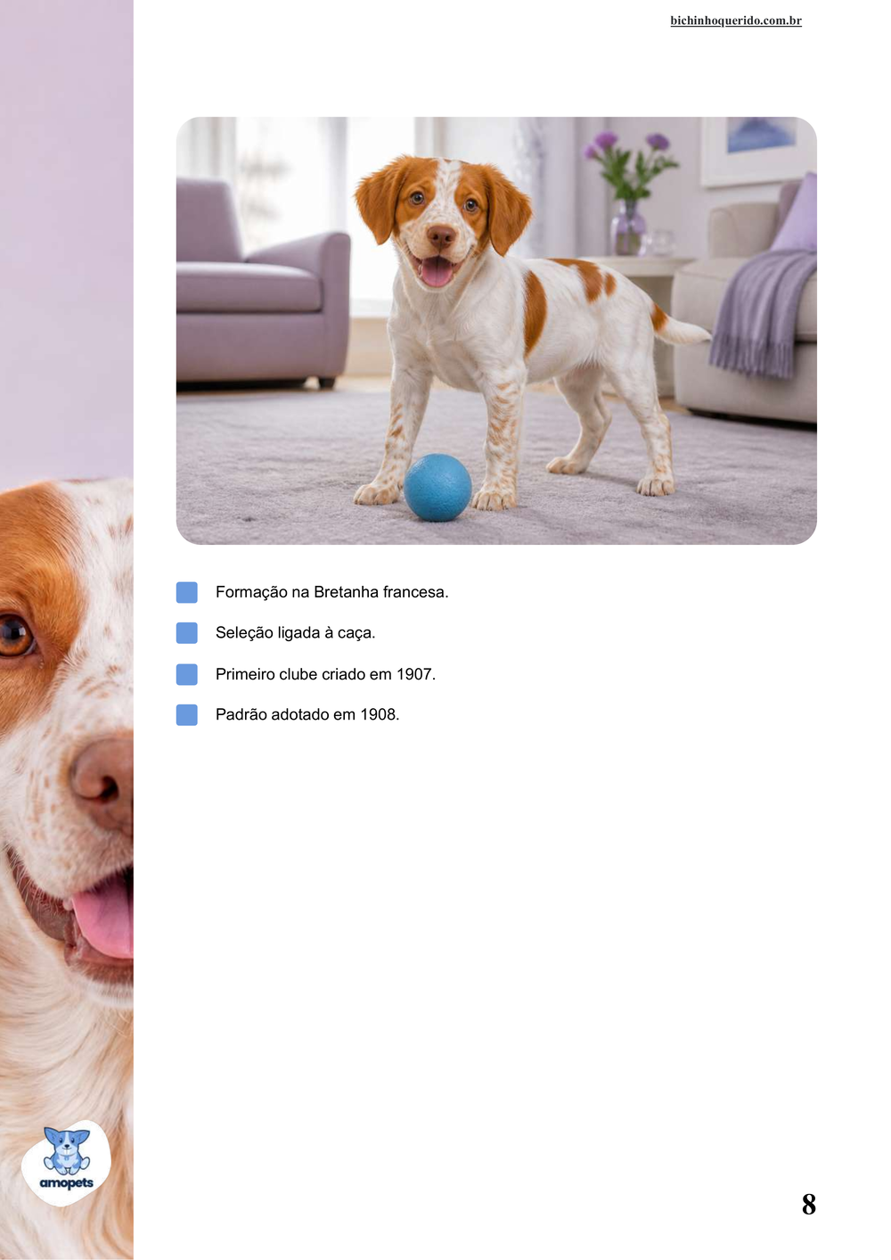 características do Spaniel Bretão no e-book Guia de Como Cuidar do Spaniel Bretão