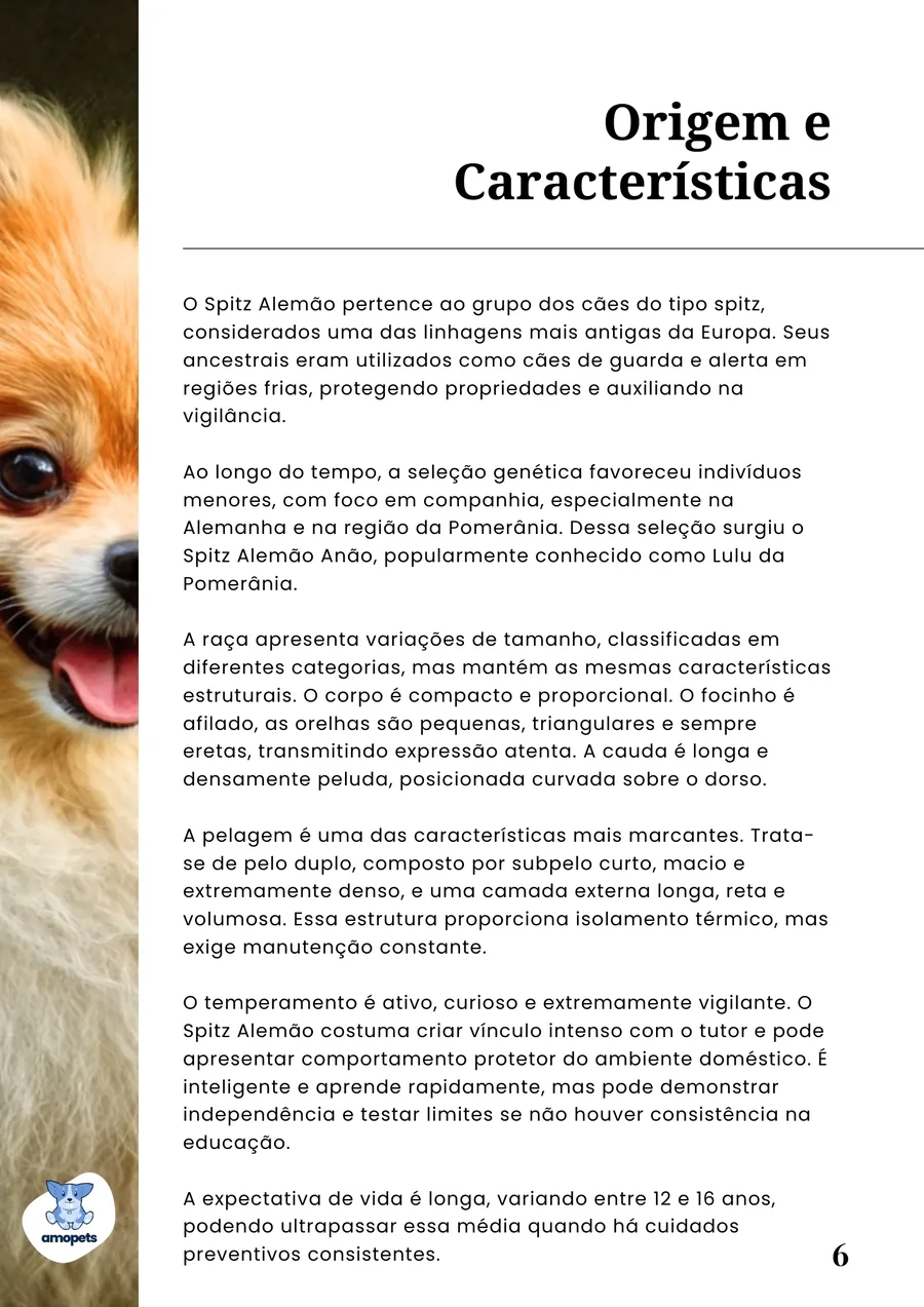 página interna do e-book Guia de Como Cuidar do Spitz Alemão