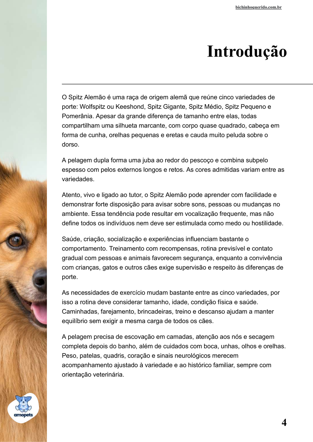 introdução do e-book Guia de Como Cuidar do Spitz Alemão