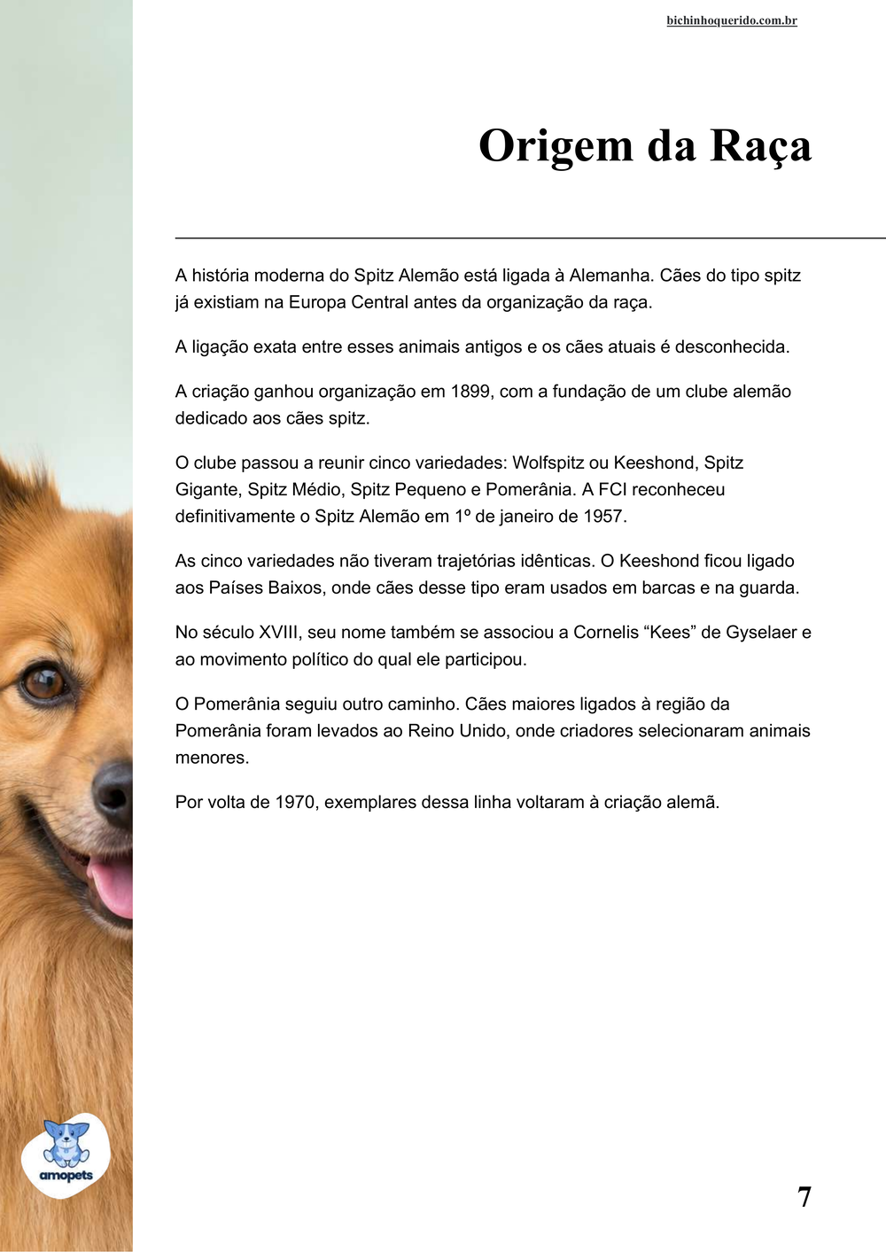 origem da raça no e-book Guia de Como Cuidar do Spitz Alemão
