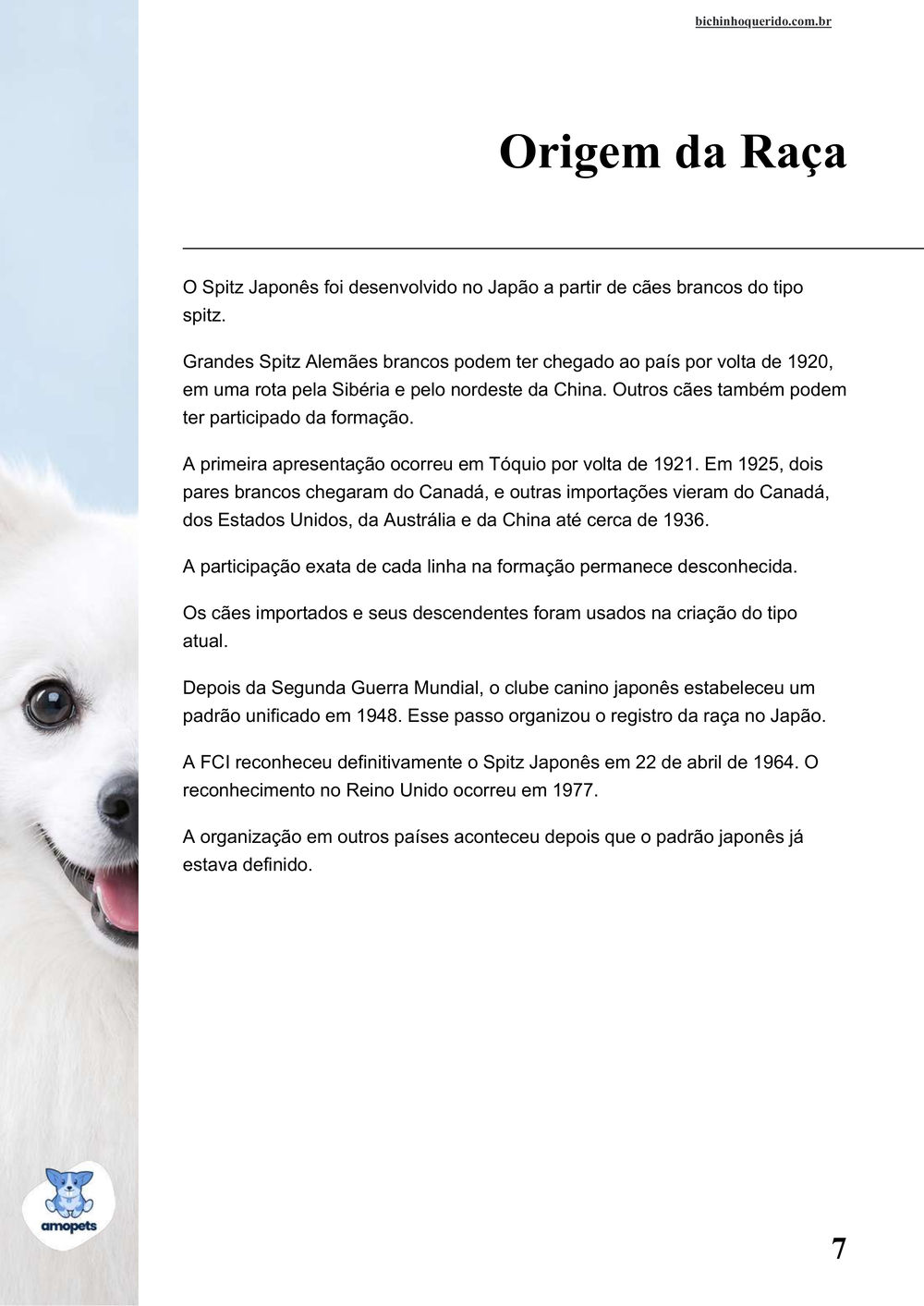 origem da raça no e-book Guia de Como Cuidar do Spitz Japonês
