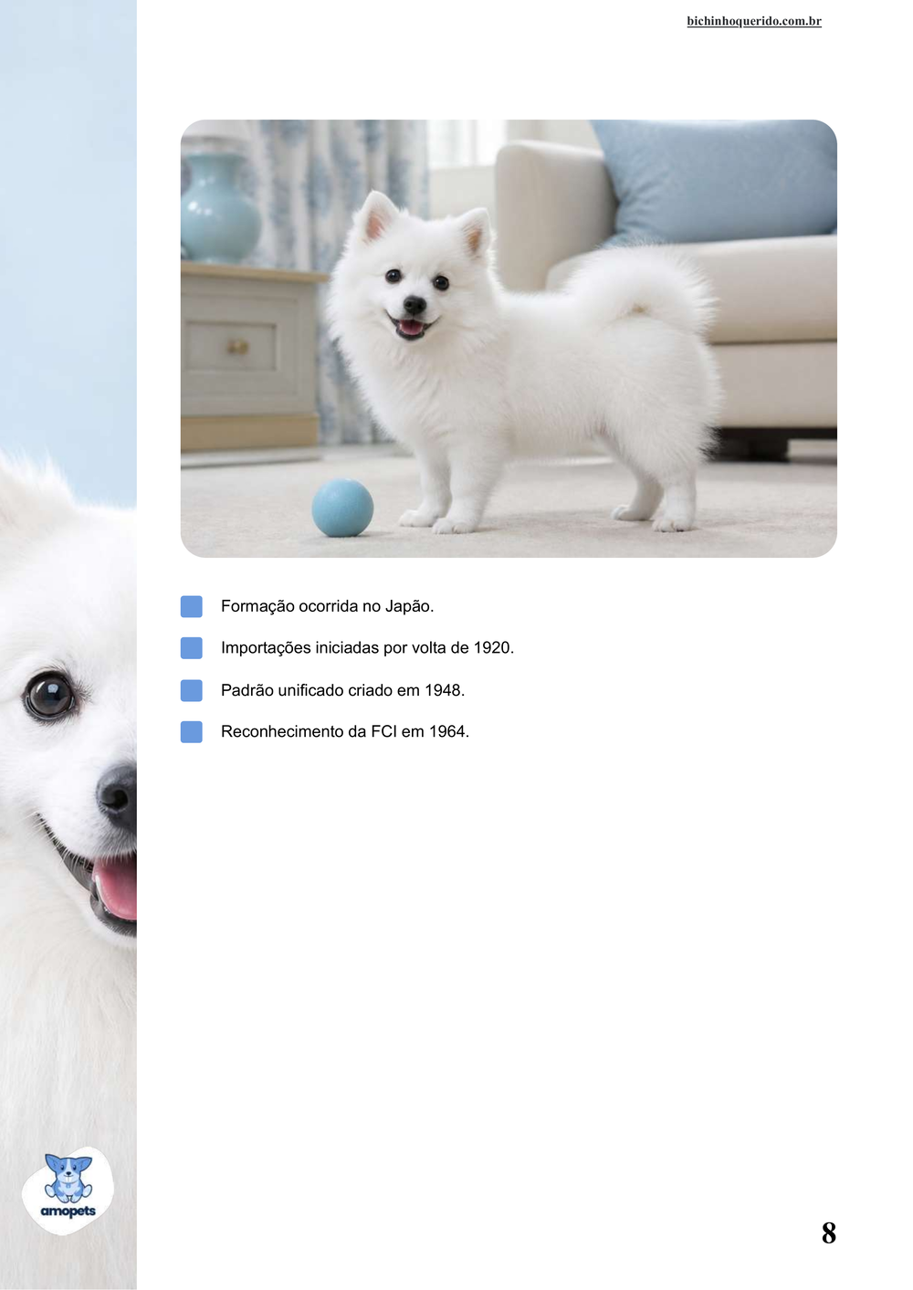 características do Spitz Japonês no e-book Guia de Como Cuidar do Spitz Japonês