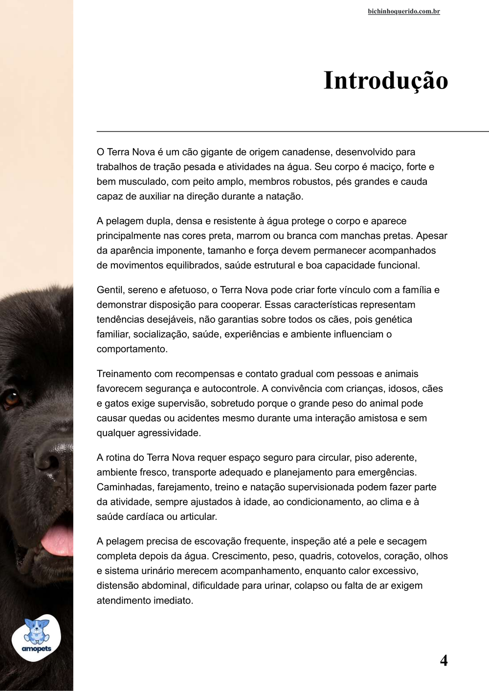 introdução do e-book Guia de Como Cuidar do Terra Nova