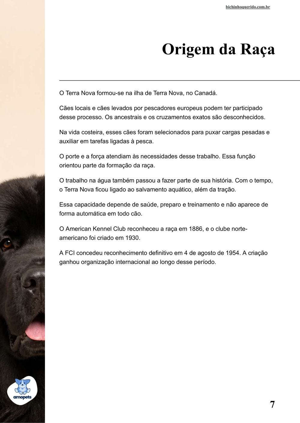 origem da raça no e-book Guia de Como Cuidar do Terra Nova