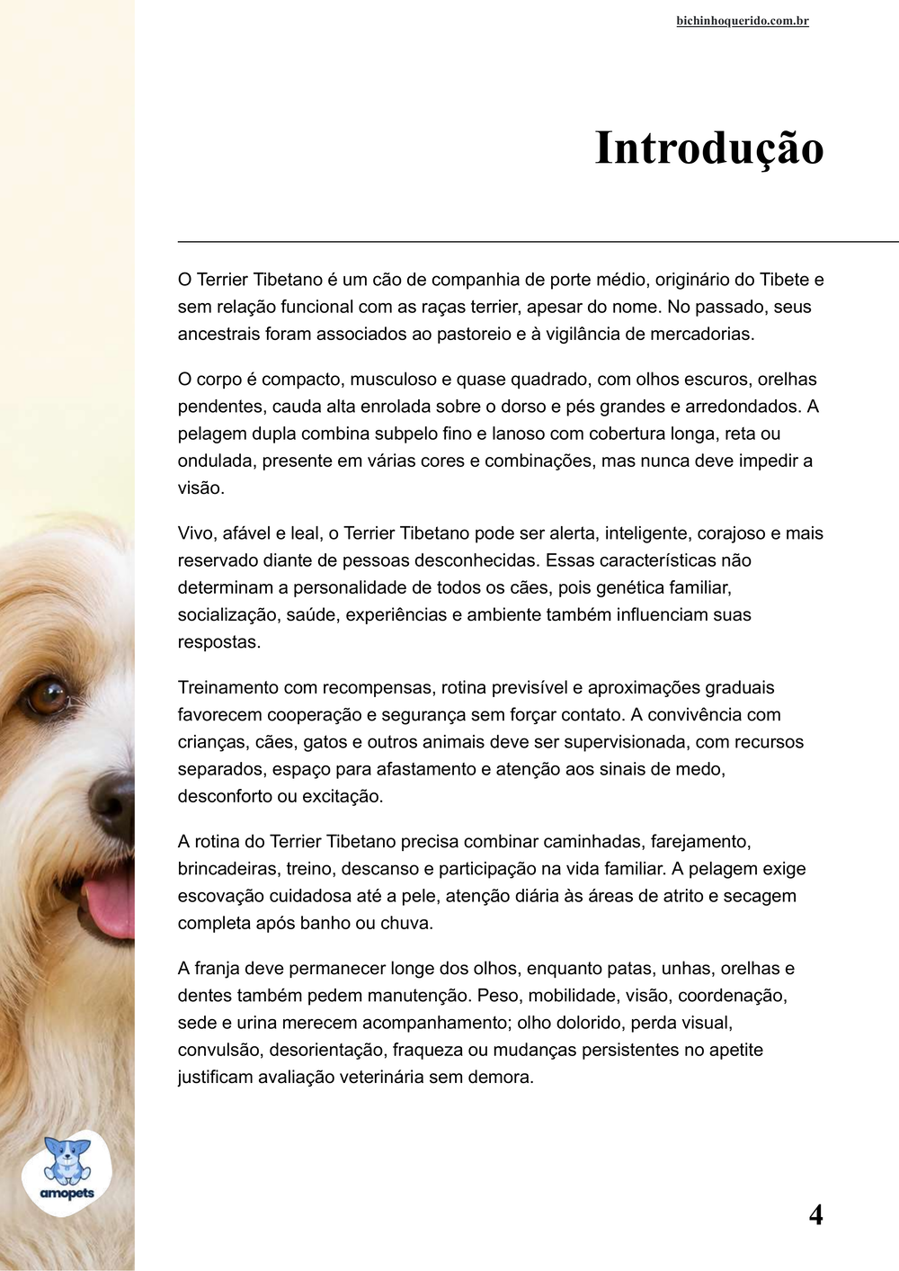 introdução do e-book Guia de Como Cuidar do Terrier Tibetano