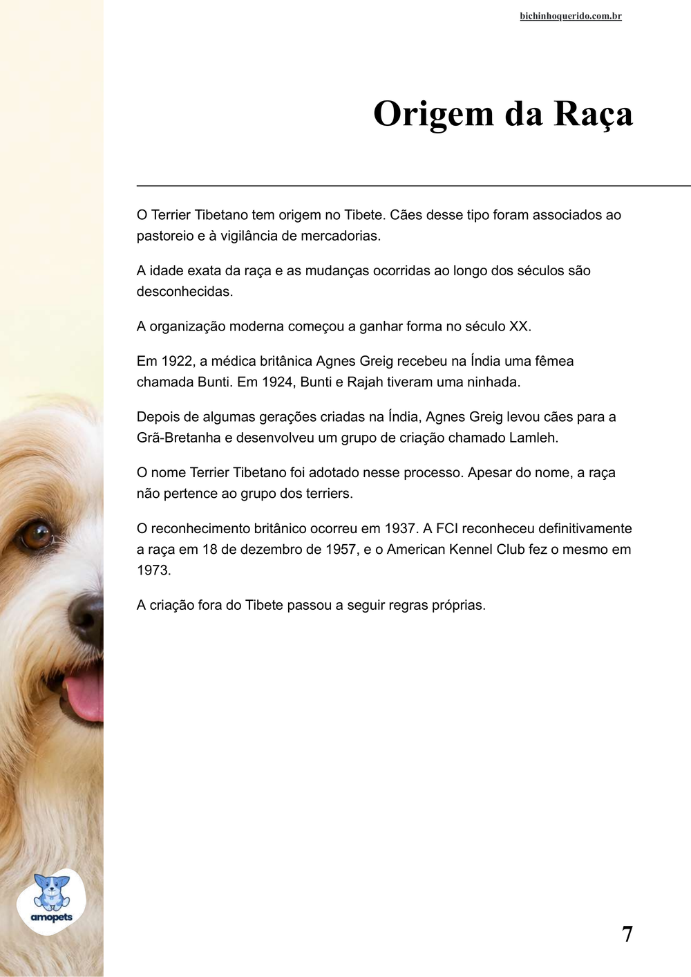 origem da raça no e-book Guia de Como Cuidar do Terrier Tibetano