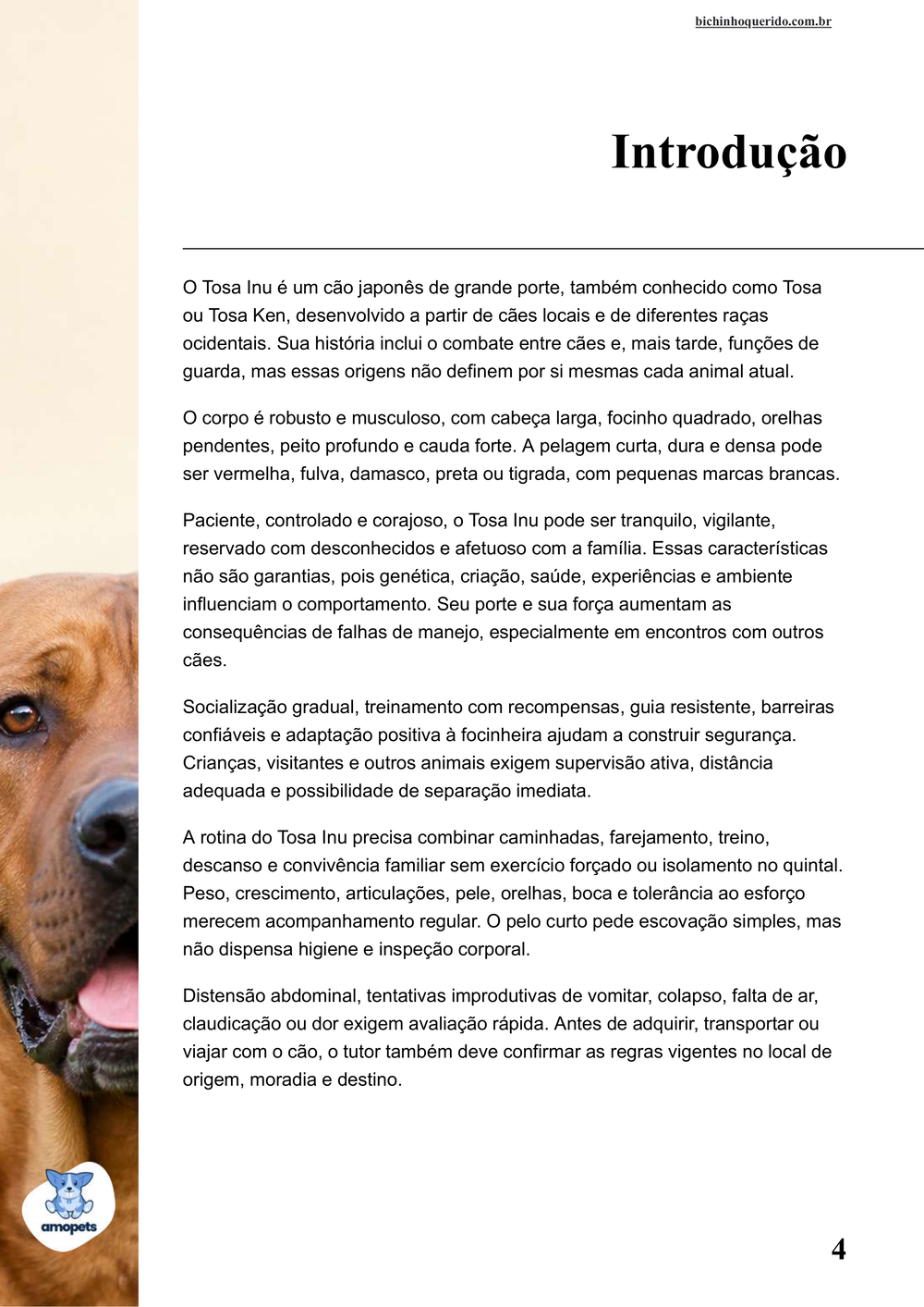 introdução do e-book Guia de Como Cuidar do Tosa Inu
