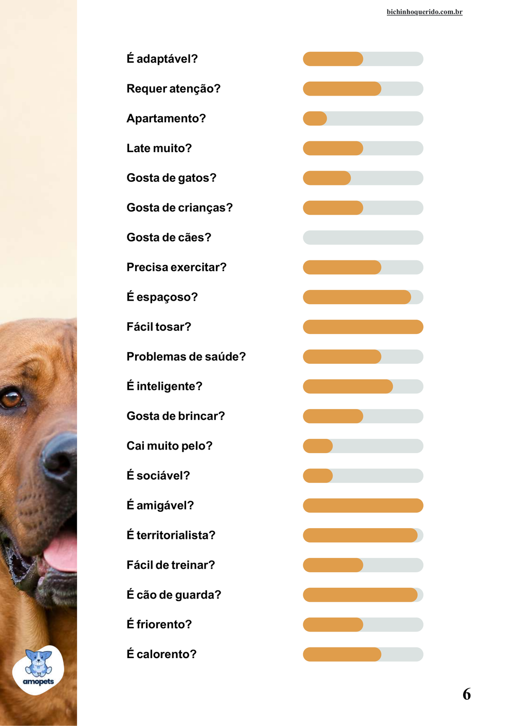 perfil da raça no e-book Guia de Como Cuidar do Tosa Inu