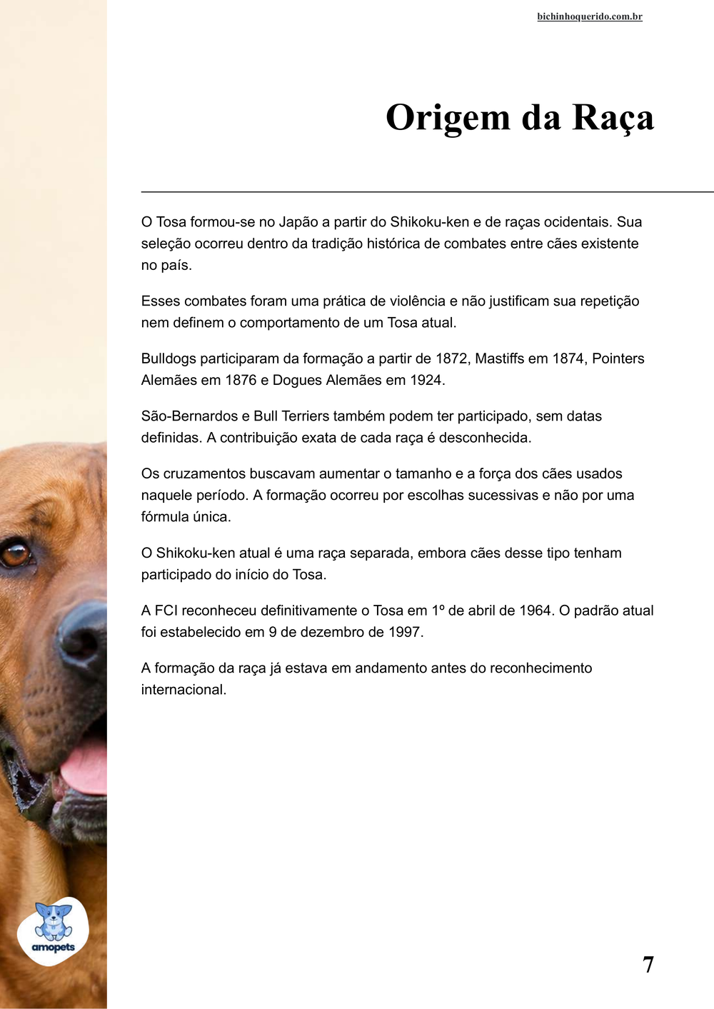 origem da raça no e-book Guia de Como Cuidar do Tosa Inu
